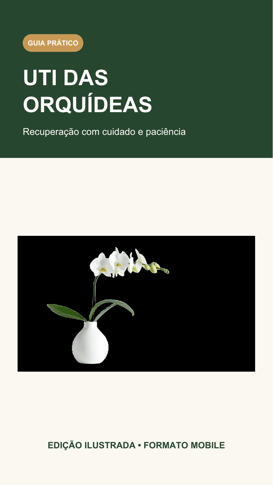 Capa original de UTI das Orquídeas: Recuperação com cuidado e paciência.